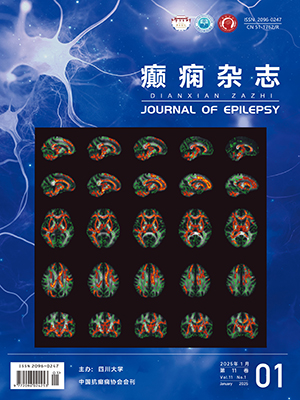 Journal of Epilepsy