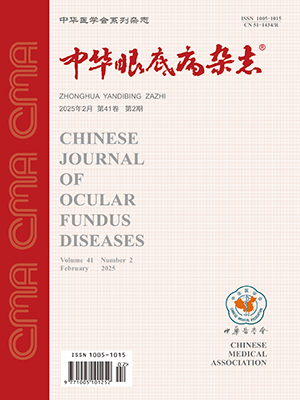 Chinese Journal of Ocular Fundus Diseases